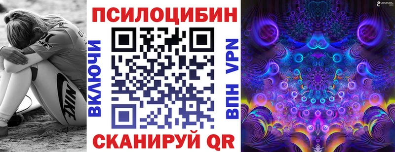 Псилоцибиновые грибы Psilocybe  цены наркотик  Заинск 